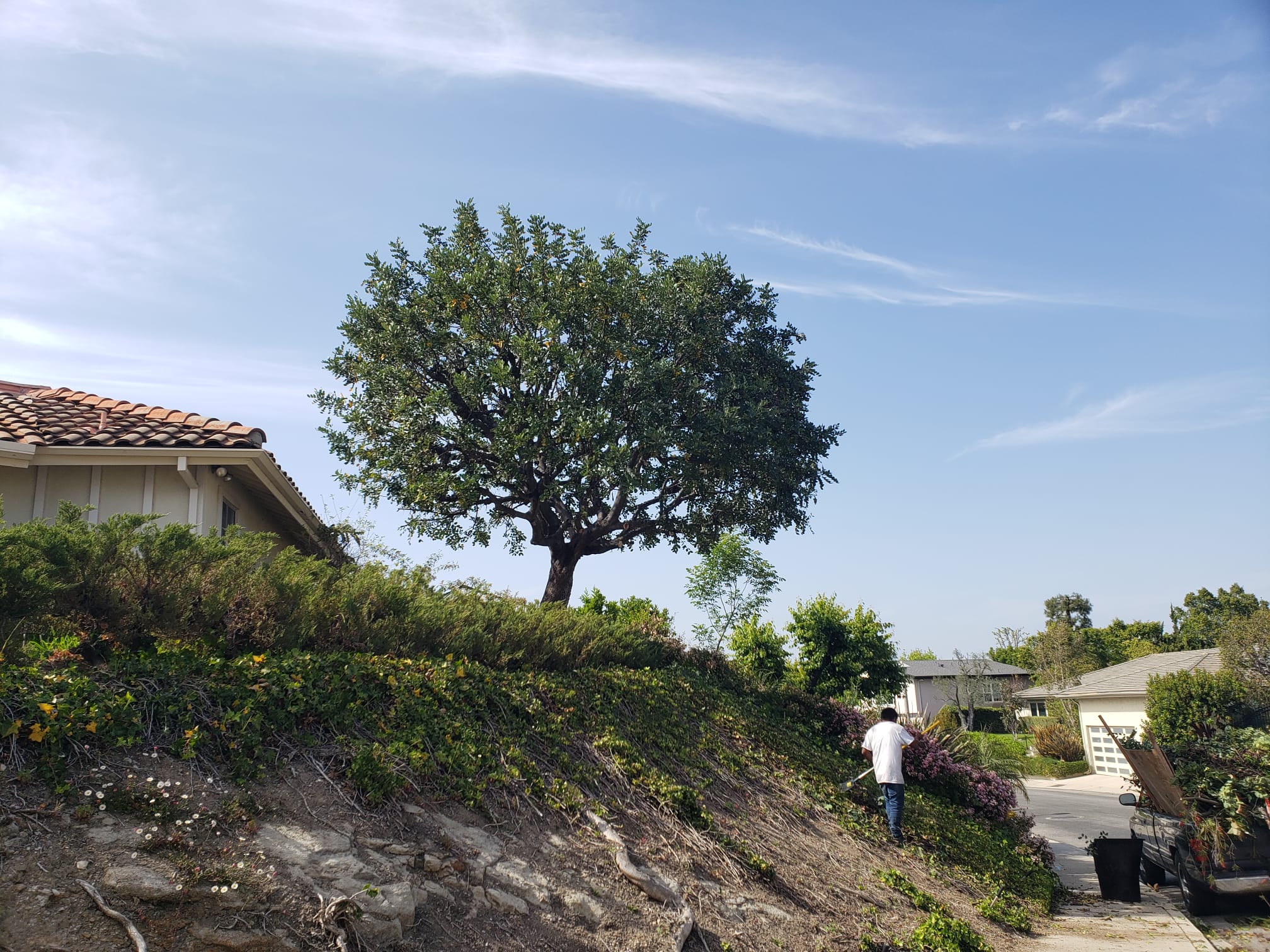 Eagle Landscaping Services Image